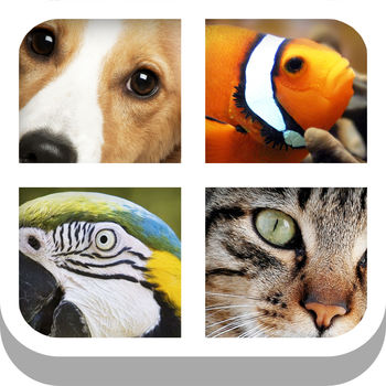 Close Up Animal Quiz - Cat & Dog Trivia Games Free - Guess the animal from the zoomed in photo as fast as you can... simple!The ultimate animal guessing game, from the makers of the hit Close Up Pics - join more than 15 million Close Ups players!SIMPLE, FUN AND ADDICTIVE GAMEPLAY- No complicated rules, just start playing and having fun!- Over 150 animals to guess from with high quality photos!ABOUT MEDIAFLEX GAMESWith over 20 million downloads and growing, Mediaflex Games has established itself as leading a creator of puzzle and trivia games for kids and adults.Visit us: http://www.mediaflex.coLike us: http://www.facebook.com/MediaflexGamesCONTACT USLet us know what you think! Questions? Suggestions? Technical Support? Contact us at: apps@mediaflex.coIMPORTANT MESSAGE FOR PARENTSOur games are free to play but certain in-game items may be purchased for real money. You may restrict in-app purchases by disabling them on your device.