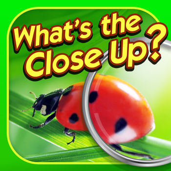 What's the Close Up? - Close Up Pics Photo Quiz - How good are you at identifying zoomed in pics? Can you solve all of the extreme close ups in What’s the Close Up?