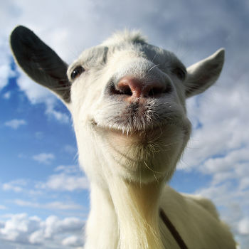 Goat Simulator - Goat Simulator is the latest in goat simulation technology, bringing next-gen goat simulation to YOU.